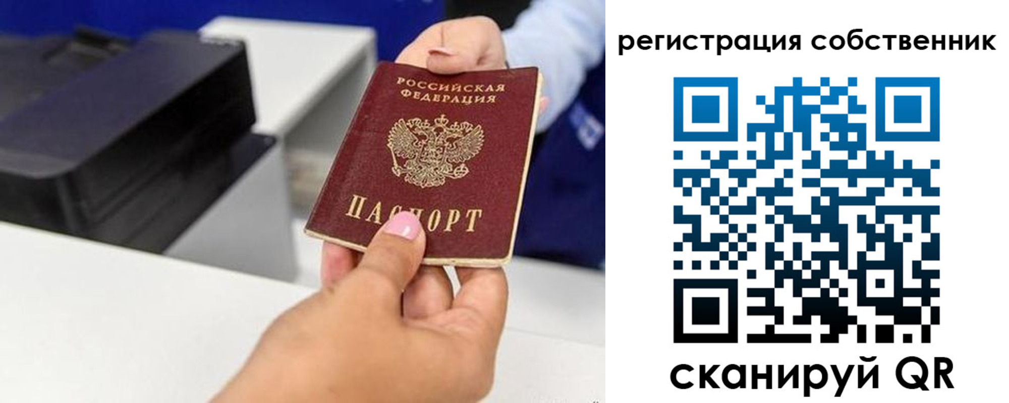 прописка для школы в Россоши